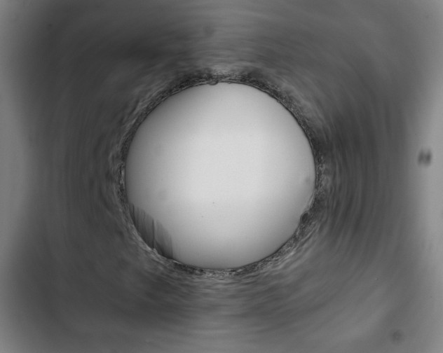 X0000103321249200809050951