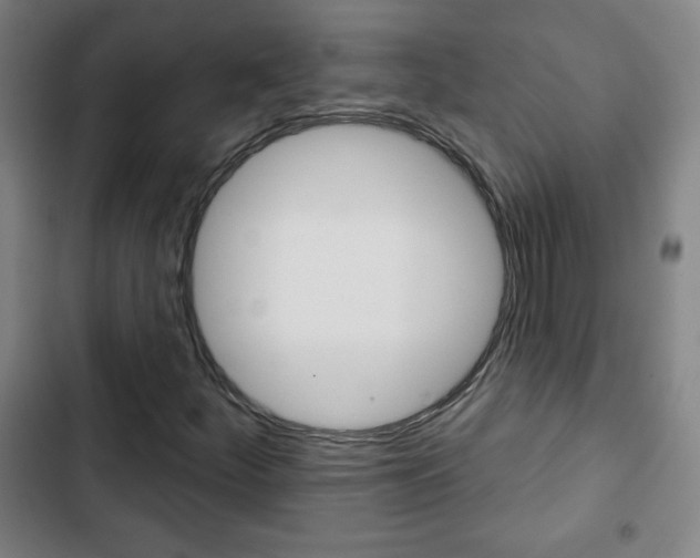 X0000103321252200809050951