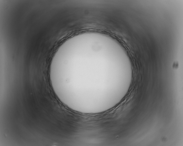 X0000103321253200809050951