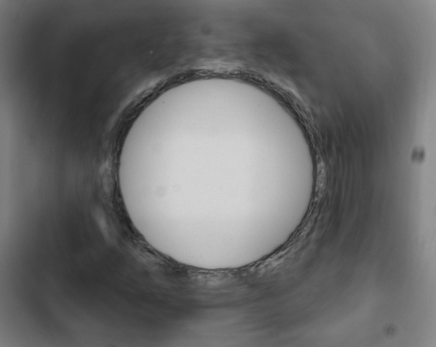 X0000103321254200809050951