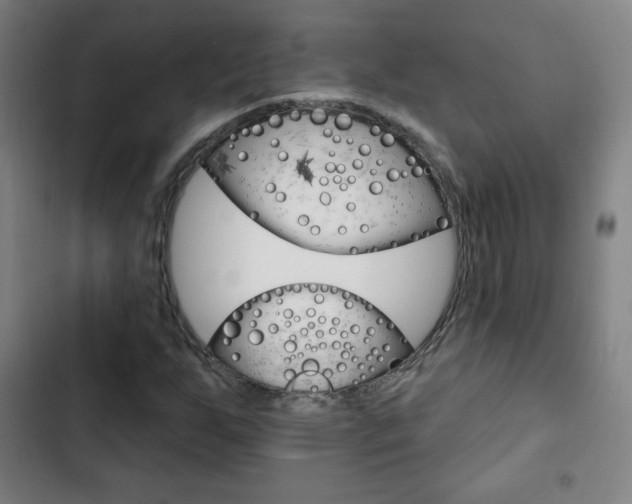 X0000103321255200809050951