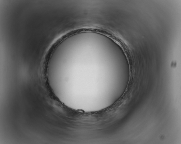 X0000103321256200809050951