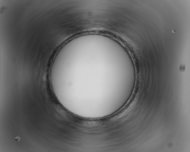 X0000103321257200809050951