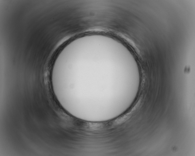 X0000103321258200809050951