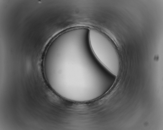 X0000103321260200809050951