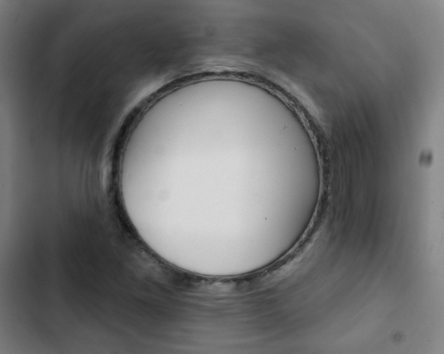 X0000103321261200809050951