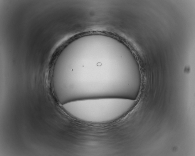 X0000103321262200809050951