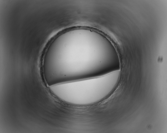 X0000103321264200809050951