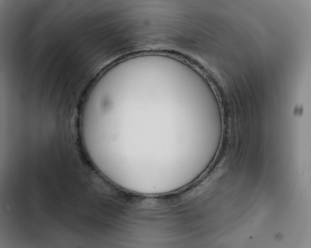 X0000103321265200809050951
