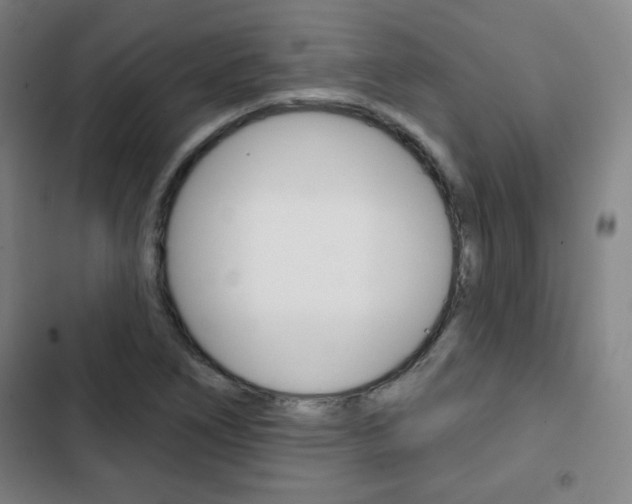 X0000103321266200809050951