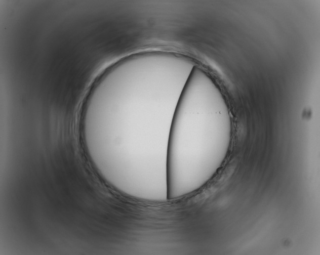 X0000103321267200809050951