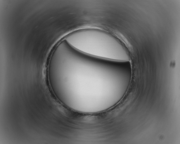 X0000103321268200809050951