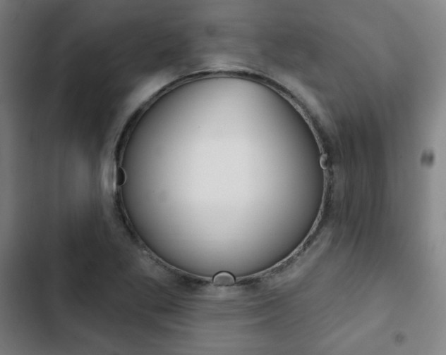 X0000103321269200809050951