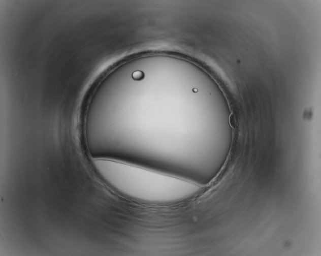 X0000103321270200809050951