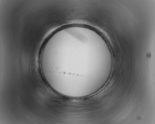 X0000103321271200809050951