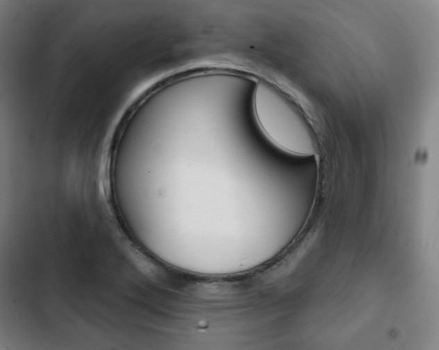 X0000103321272200809050951