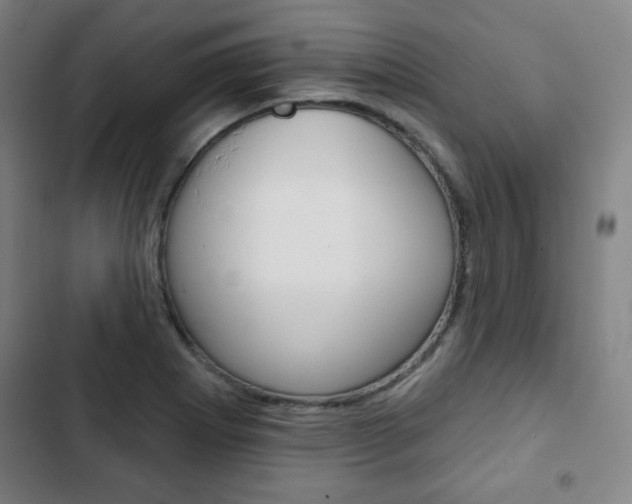 X0000103321273200809050951