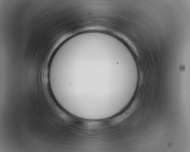 X0000103321274200809050951