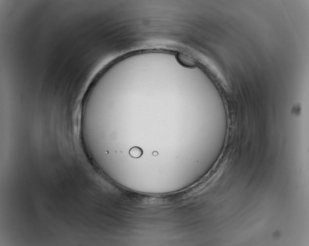 X0000103321275200809050951