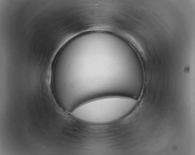 X0000103321276200809050951