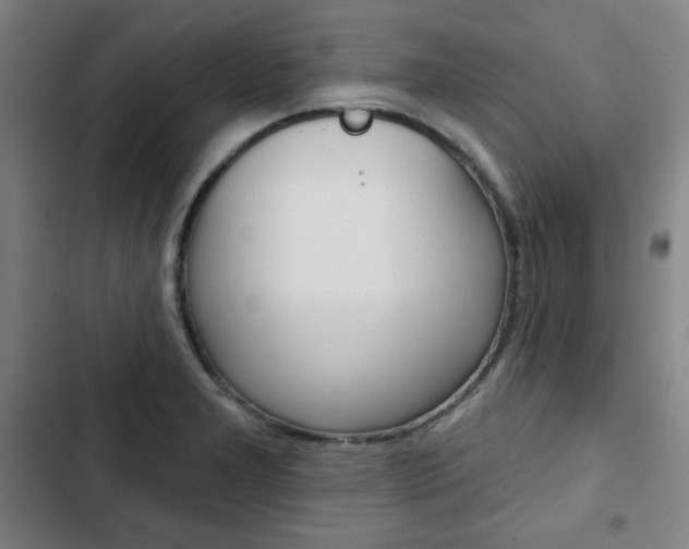 X0000103321277200809050951