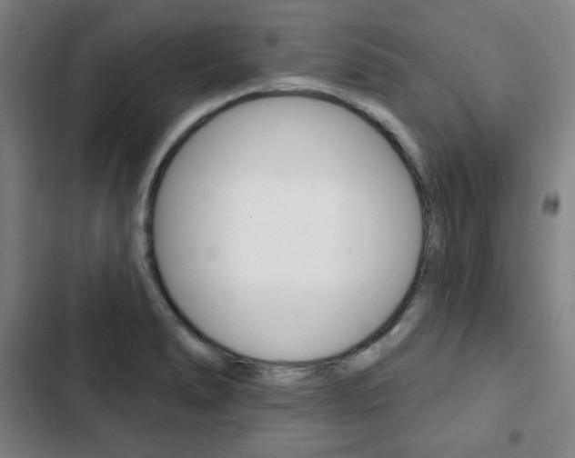 X0000103321278200809050951