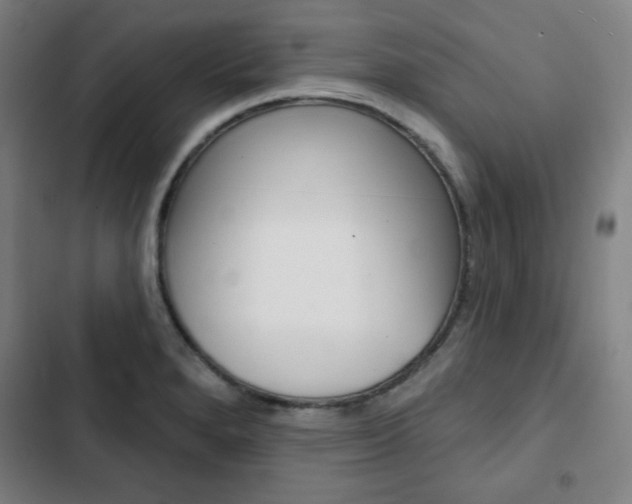 X0000103321280200809050951