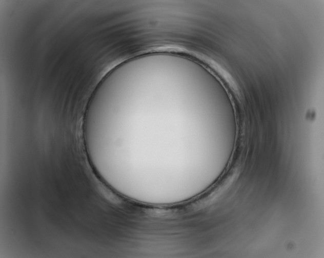 X0000103321281200809050951