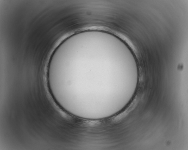 X0000103321282200809050951