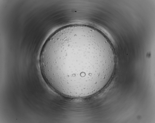 X0000103321283200809050951