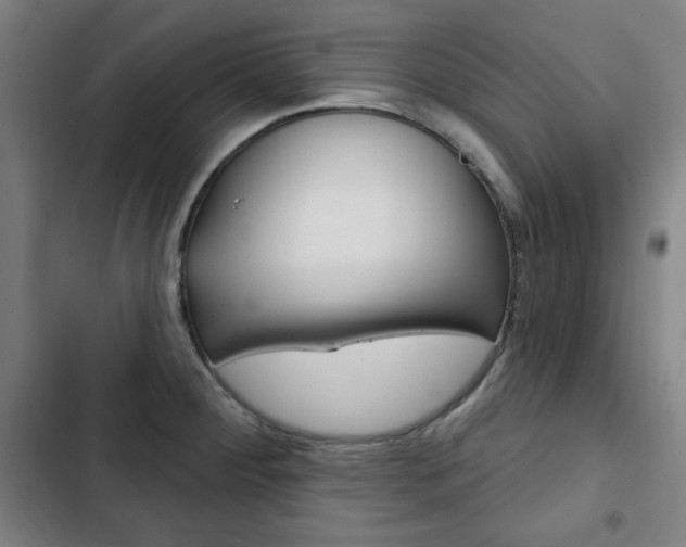 X0000103321284200809050951