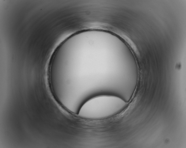 X0000103321285200809050951