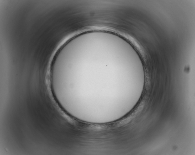 X0000103321286200809050951