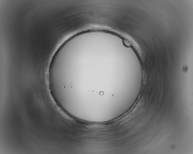 X0000103321287200809050951