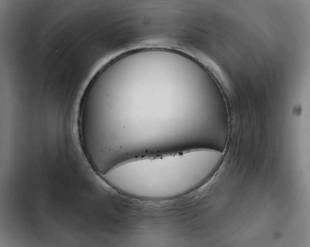 X0000103321288200809050951