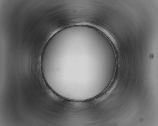 X0000103321289200809050951