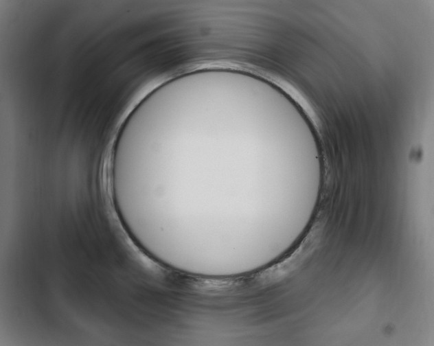 X0000103321290200809050951