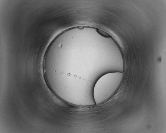 X0000103321291200809050951