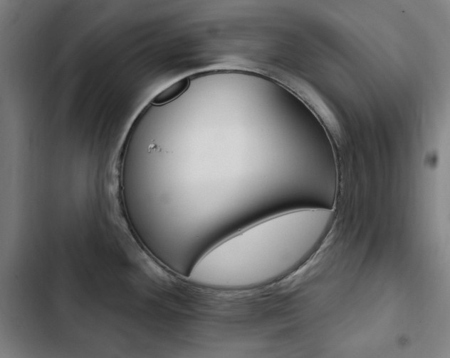 X0000103321292200809050951