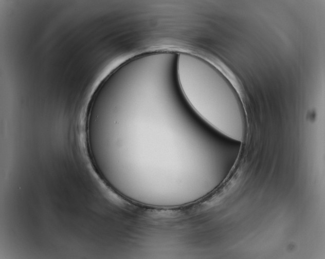 X0000103321293200809050951