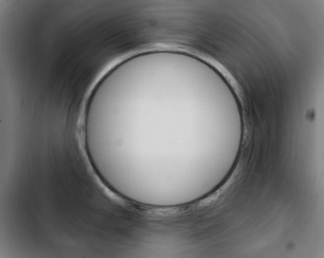 X0000103321294200809050951