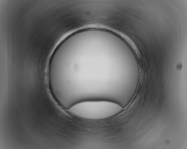 X0000103321295200809050951