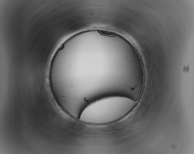 X0000103321296200809050951