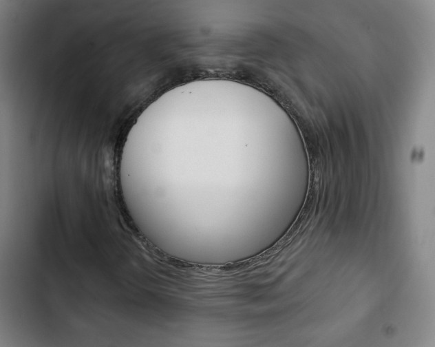 X0000103321298200809050950