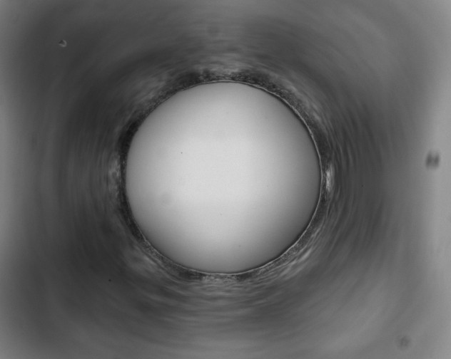 X0000103321299200809050950