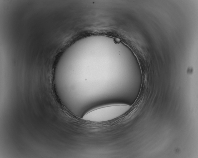 X0000103321300200809050950