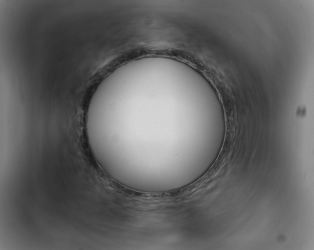 X0000103321301200809050950