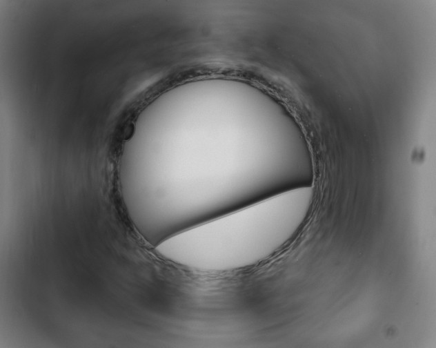X0000103321302200809050950