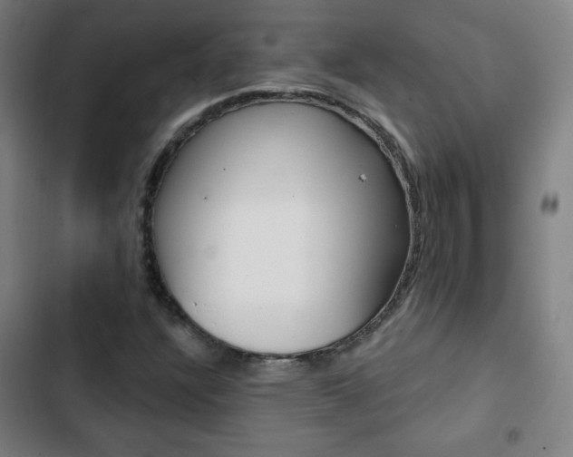 X0000103321304200809050950