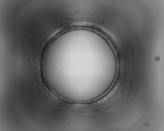 X0000103321305200809050950